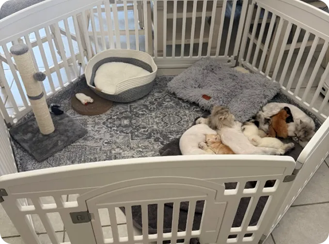 Dedicated Nursing Area