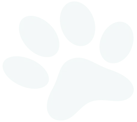 Mark One