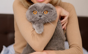 Aspen is AVAILABLE FOR ADOPTION!